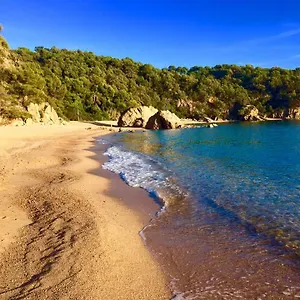 Private Cala Canyelles Apartment